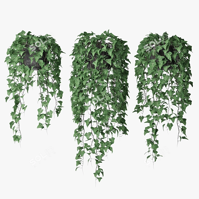 Versatile Ivy Trio in Pot 3D model image 1