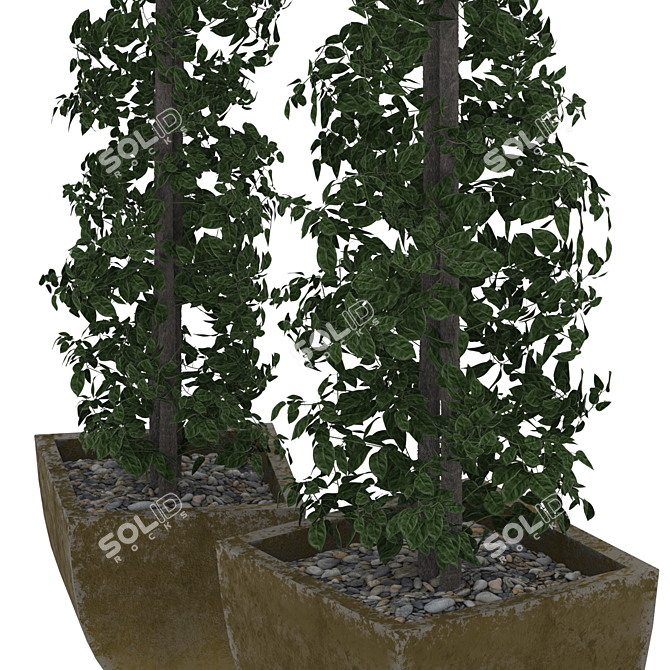 Lush Greenery: Plant & Pot 3D model image 2