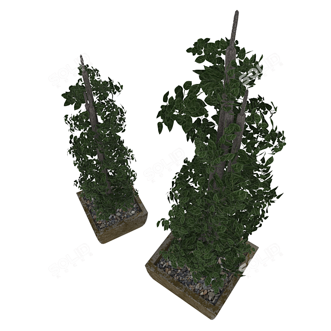 Lush Greenery: Plant & Pot 3D model image 3