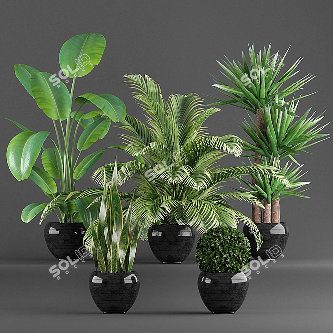 Green Oasis: 5-Piece Plant Set 3D model image 1
