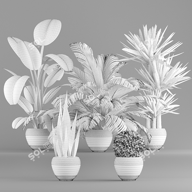 Green Oasis: 5-Piece Plant Set 3D model image 2