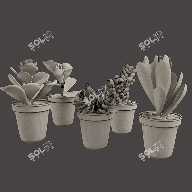 Vibrant Cactus Pot Set: Maziye Model 3D model image 3