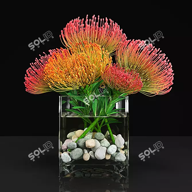 13 Variety Plant Collection 3D model image 1