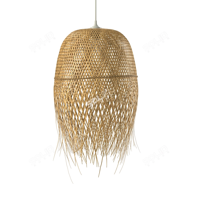 Exotic Bamboo Pendant: Panama 3D model image 1