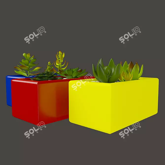 Vibrant Cactus Set: Marziye 3D model image 2