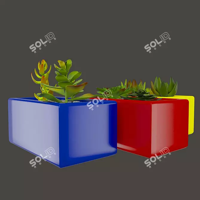 Vibrant Cactus Set: Marziye 3D model image 3