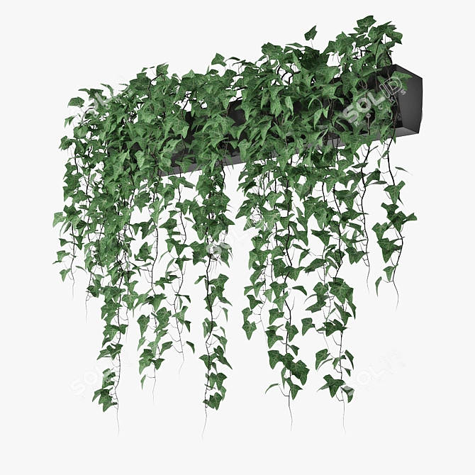 Lush Ivy in Pot 3D model image 1