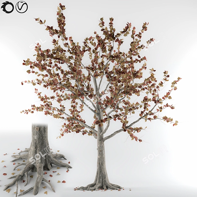 Autumn Tree 3D Model 3D model image 1