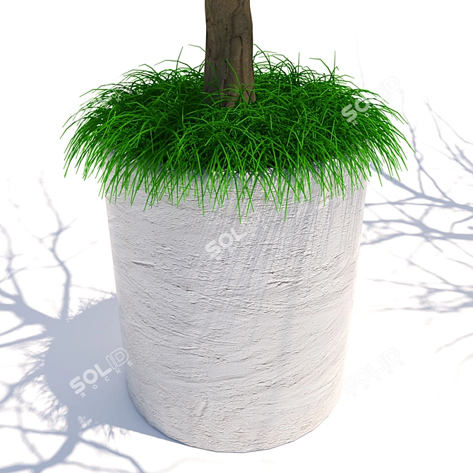 Breezy Blooms: Indoor Harmony Pair 3D model image 2