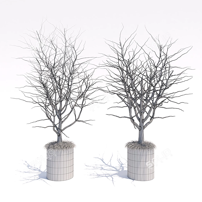 Breezy Blooms: Indoor Harmony Pair 3D model image 3