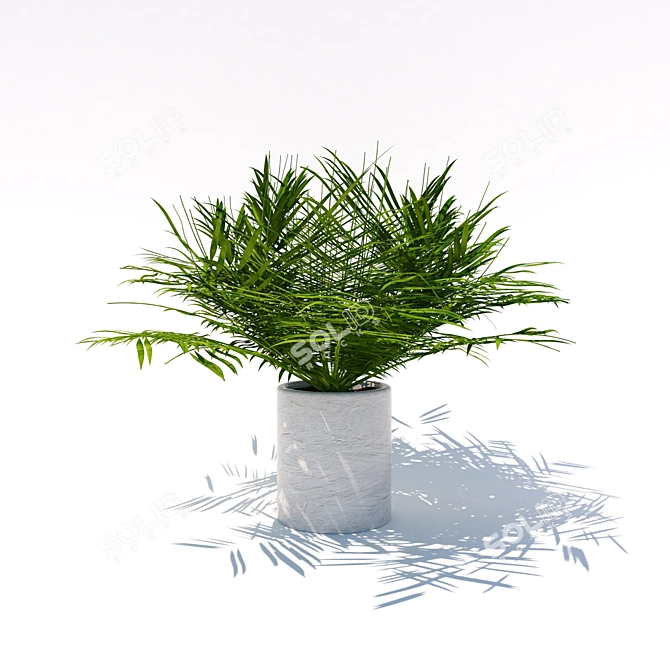 Tiny Palm Tree: A Lush Indoor Delight 3D model image 1