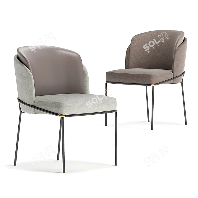 Elegant Fil Noir Dining Chair 3D model image 2