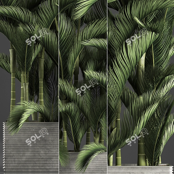 Exotic Houseplant Collection 3D model image 2