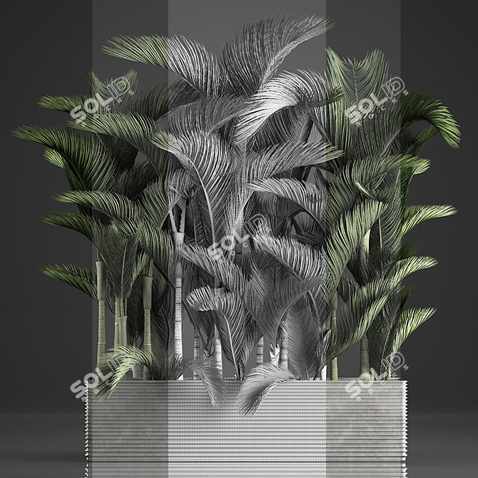 Exotic Houseplant Collection 3D model image 3