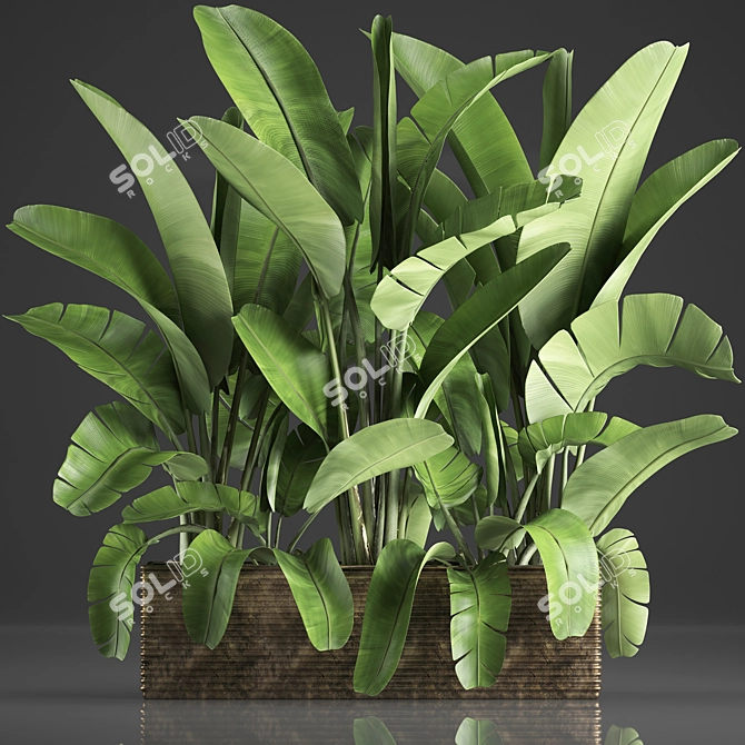 Exotic Houseplant Collection: Banana Palm & Ravenala 3D model image 1