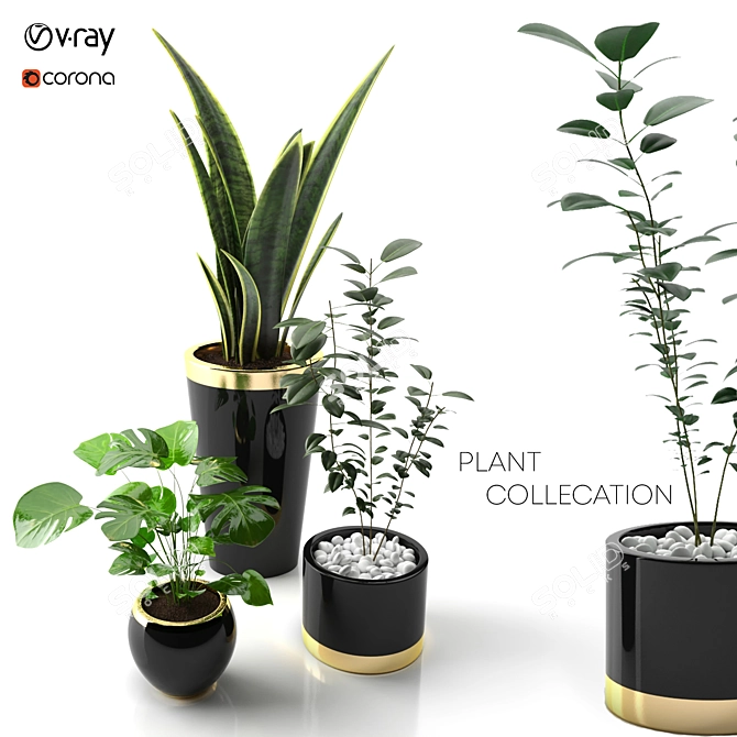 Botanic Trio: Indoor Plant Set 3D model image 1
