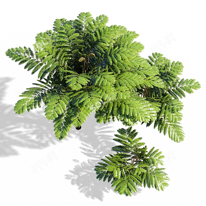 Fern: Stylish 3D Model 3D model image 3