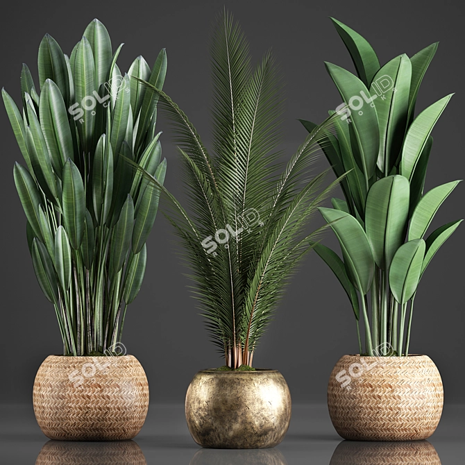 Exotic Indoor Plants Collection with 360 Varieties 3D model image 1
