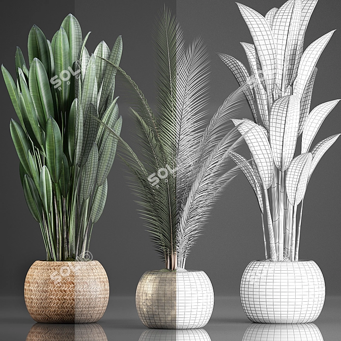 Exotic Indoor Plants Collection with 360 Varieties 3D model image 3
