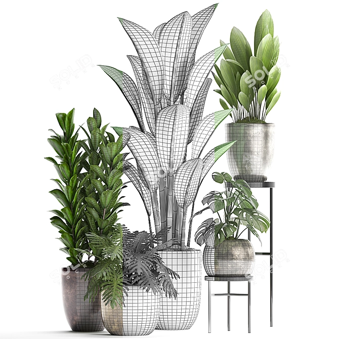 Exotic Plant Collection 3D model image 3