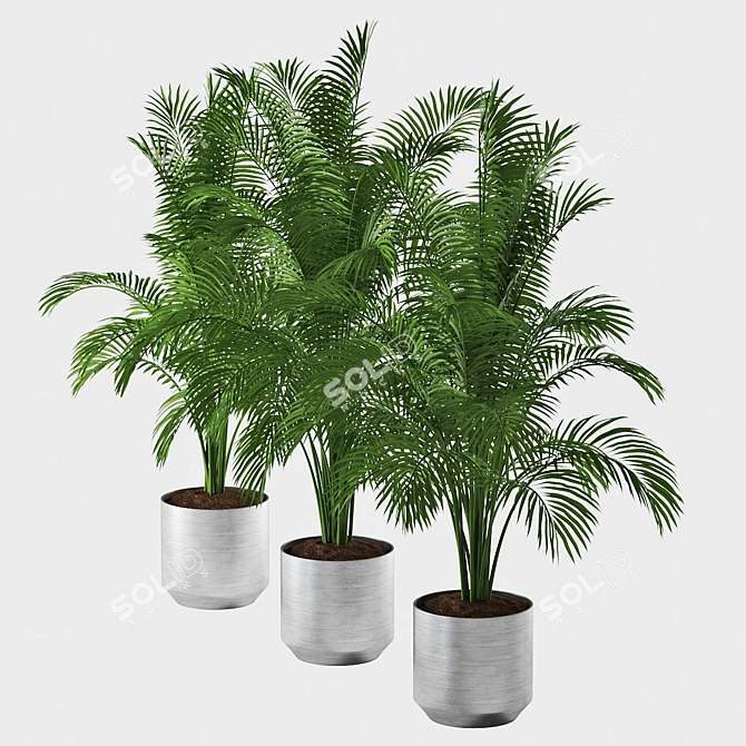 Tropical Trio Planter Set 3D model image 2