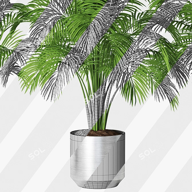 Tropical Trio Planter Set 3D model image 3