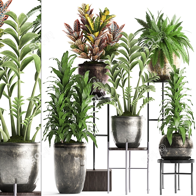 Title: Exotic Houseplant Collection 3D model image 1