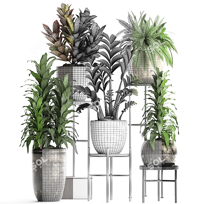 Title: Exotic Houseplant Collection 3D model image 3
