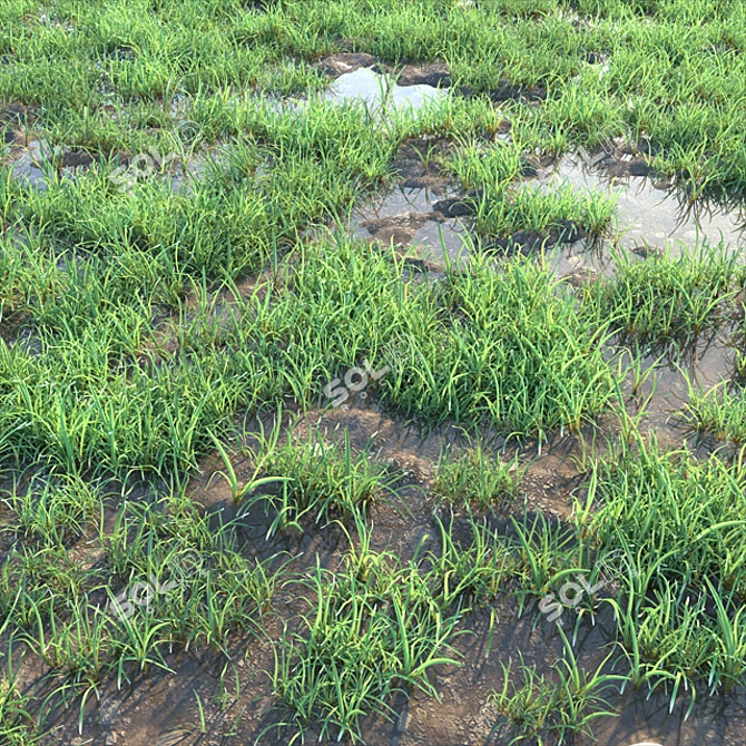 2011 MAX Corona Lawn+OBJ+MTL 3D model image 1