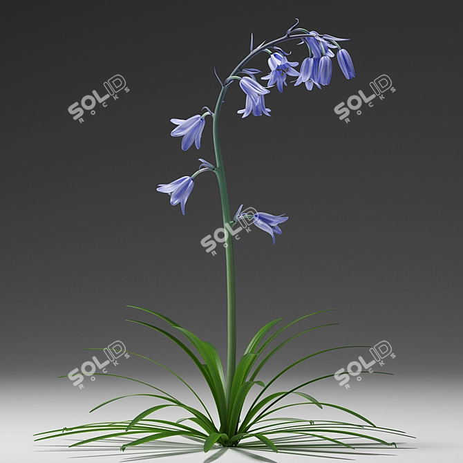 Blooming Beauty: Bluebell Garden Delight 3D model image 3