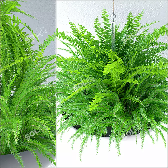 Elevate Your Space: Hanging Plant Pot 3D model image 2