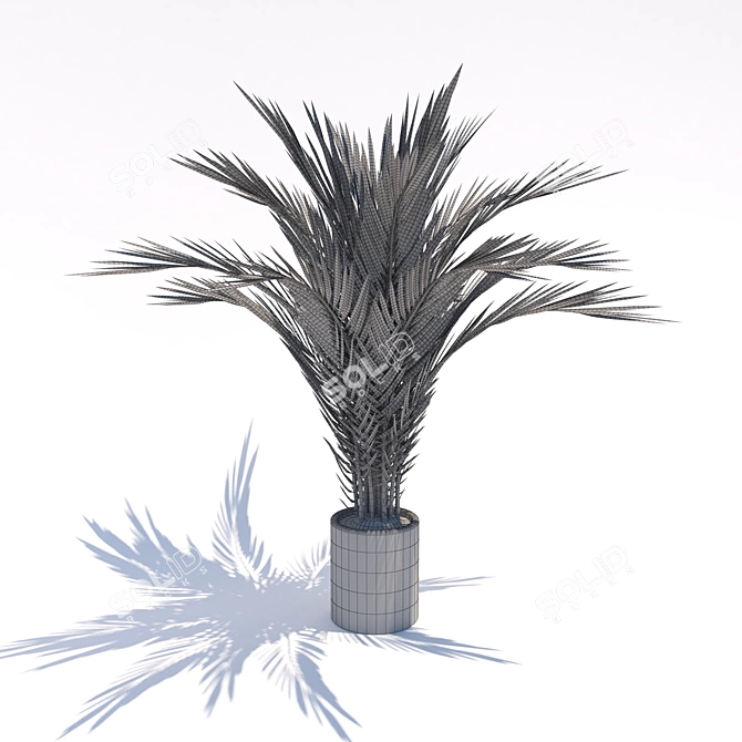 Tiny Trio: Petite Palms 3D model image 3