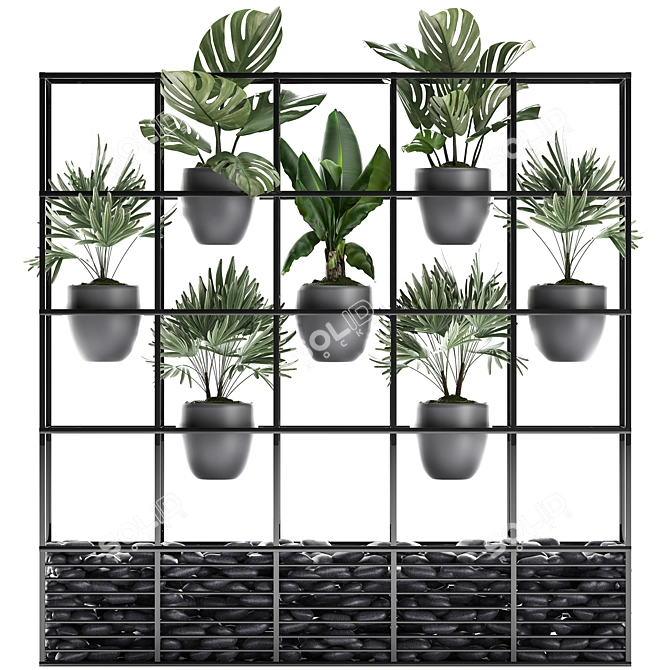 Title: Exotic Houseplants Collection 3D model image 1