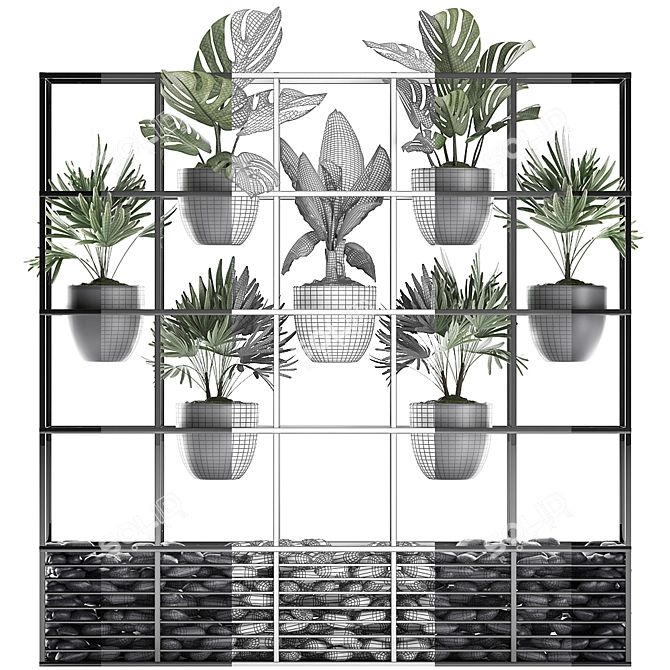 Title: Exotic Houseplants Collection 3D model image 3