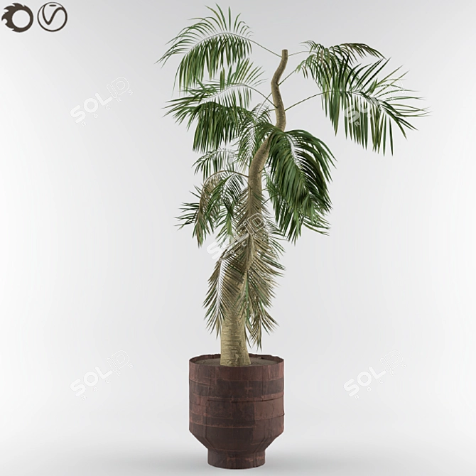 Tropical Bliss: Palm Tree for Soil & Pot 3D model image 1