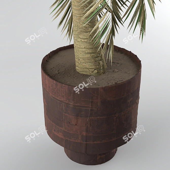 Tropical Bliss: Palm Tree for Soil & Pot 3D model image 3