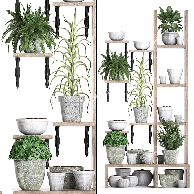 Title: Exotic Indoor Plant Collection 3D model image 2
