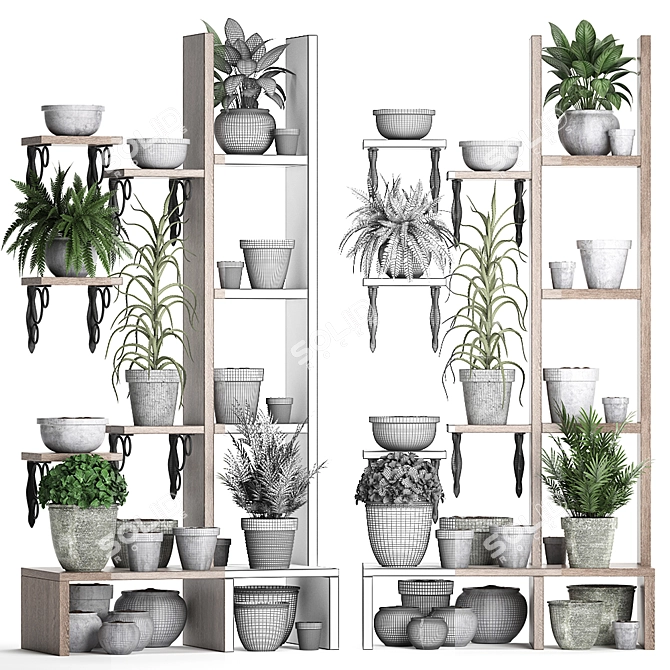 Title: Exotic Indoor Plant Collection 3D model image 3