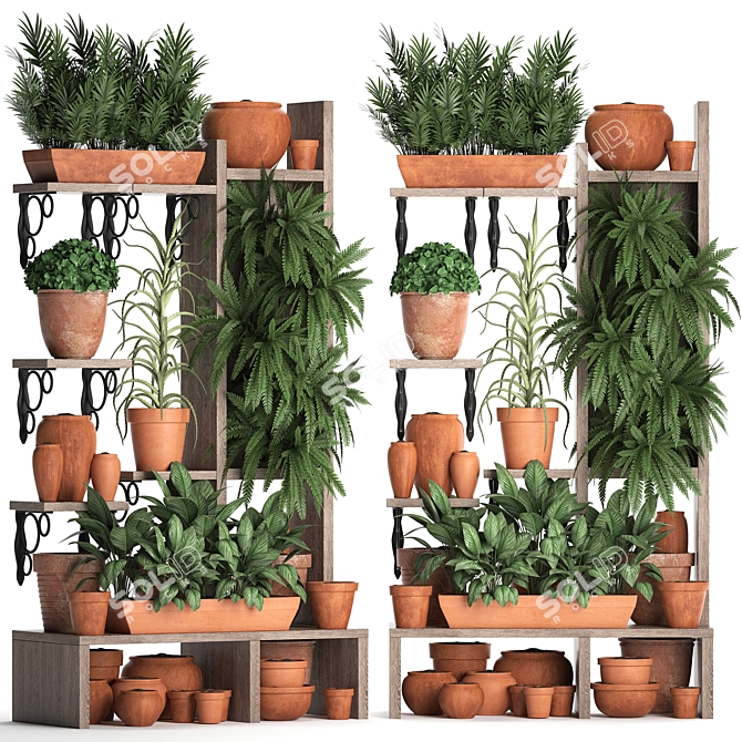 Exotic Houseplants Collection 3D model image 2