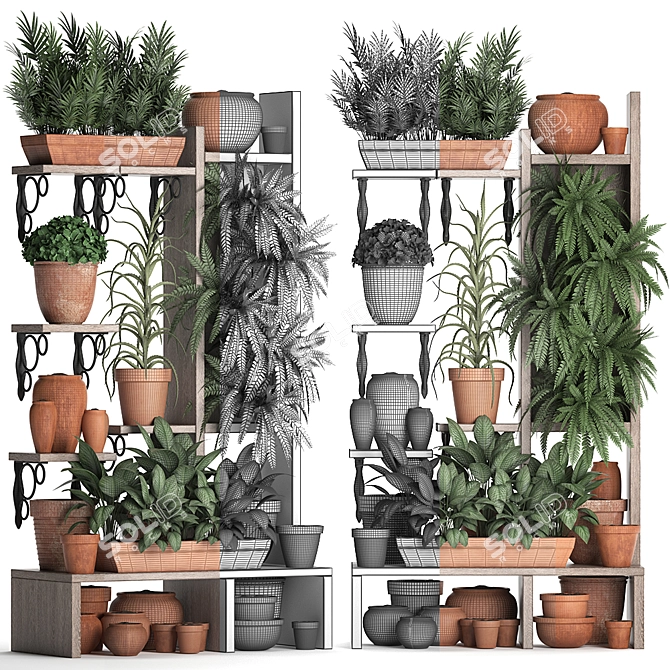 Exotic Houseplants Collection 3D model image 3