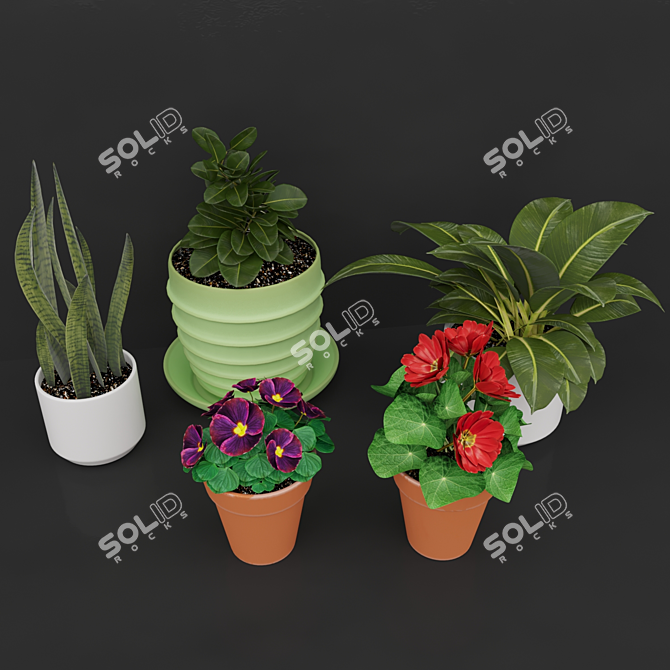 Vibrant Blooms Collection 3D model image 2