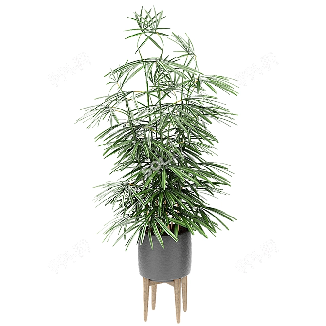 Exotic Plant in Pot 3D model image 2