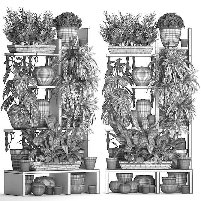 Exotic Plant Collection: Houseplants, Areca Palm, Monstera 3D model image 3