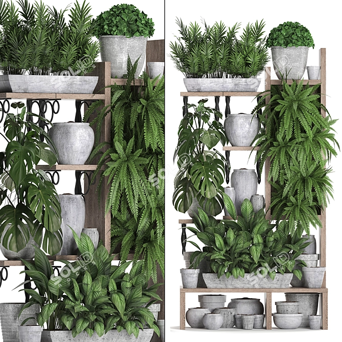 Tropical Plant Assortment - 5 Exotic Houseplants 3D model image 2