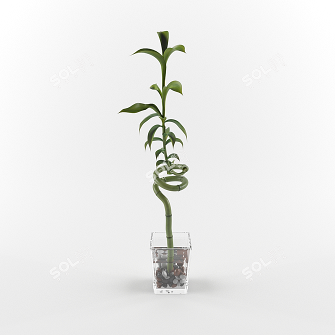 Exotic Lucky Bamboo - Perfect Indoor Decor 3D model image 1
