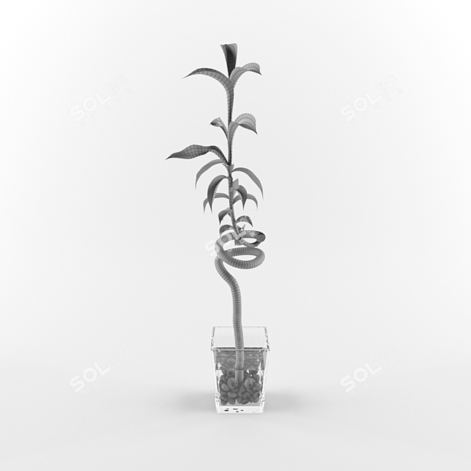 Exotic Lucky Bamboo - Perfect Indoor Decor 3D model image 2