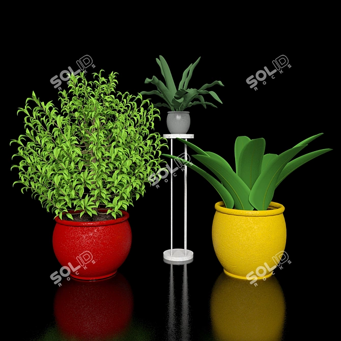 Flora-Fest: Exquisite Plants Collection 3D model image 1