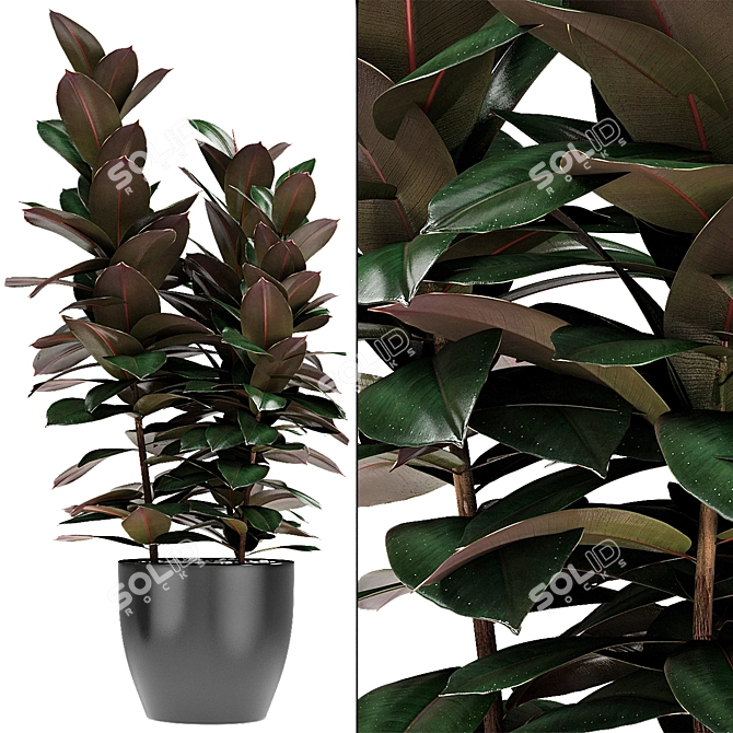 Exotic Palm Plant in Decorative Flowerpot 3D model image 2