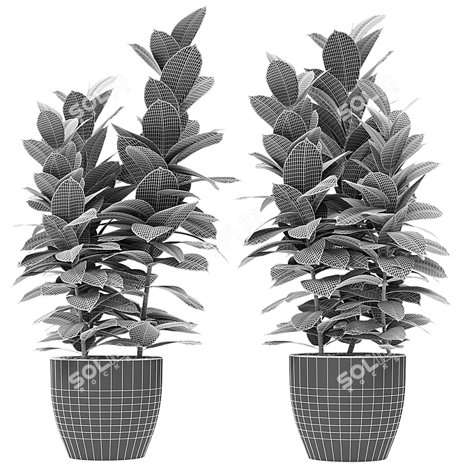 Exotic Palm Plant in Decorative Flowerpot 3D model image 3