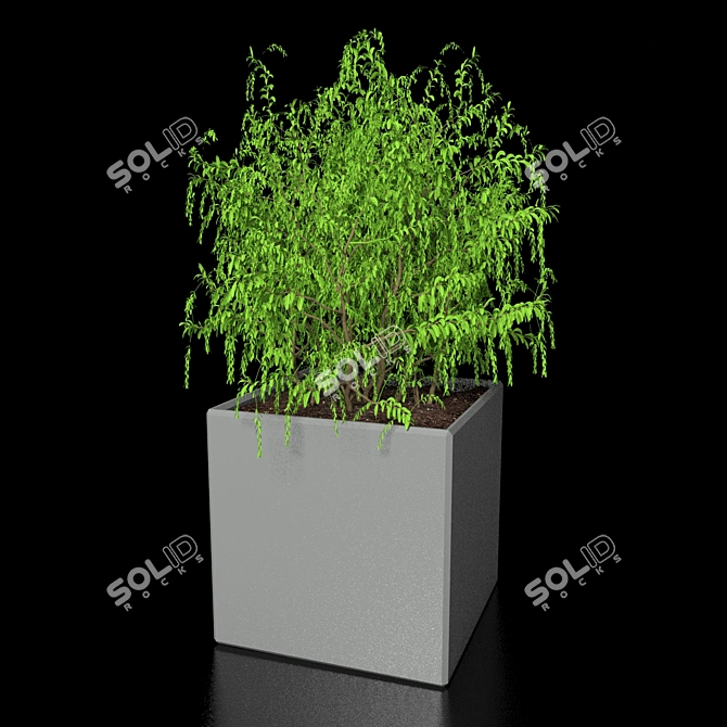 Tiny Greenery: Petite Plant 3D model image 1